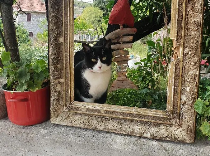 Stone House Na Rudini בית נופש *