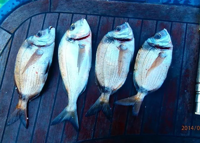 Stone House Na Rudini Zlarin