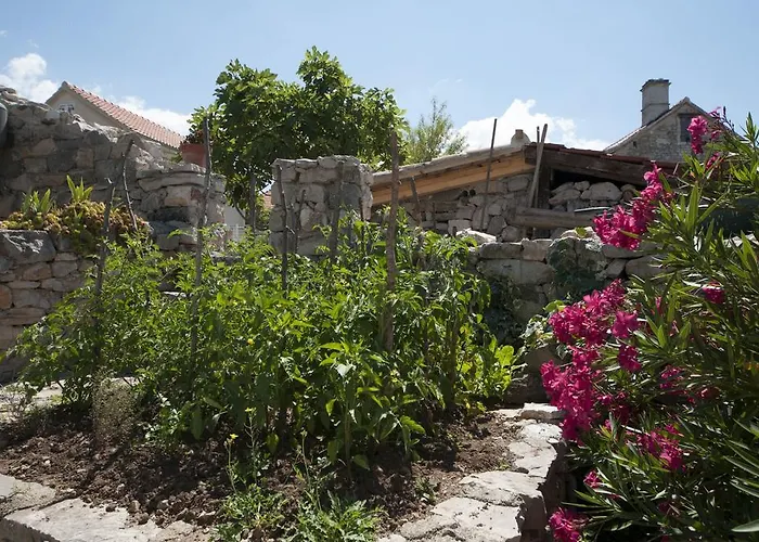 Stone House Na Rudini בית נופש זלארין