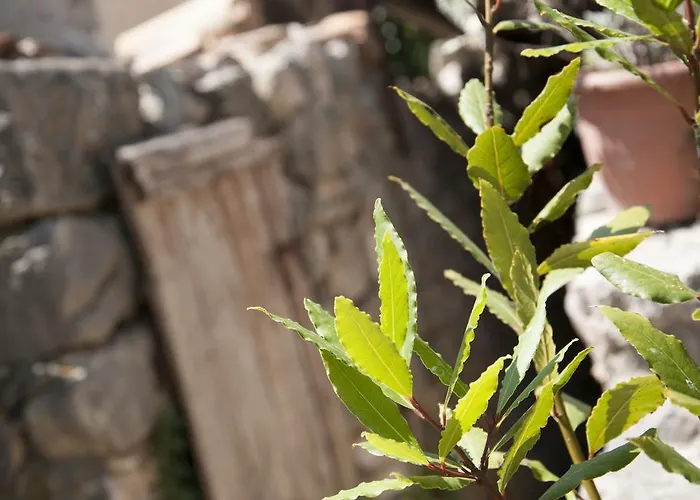 Stone House Na Rudini